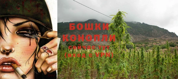 бошки Кулебаки