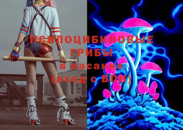 бошки Кулебаки